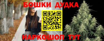 индика Партизанск