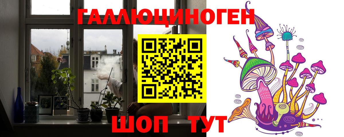 Протвино  Псилоцибиновые грибы прущие грибы  Вход с VPN 